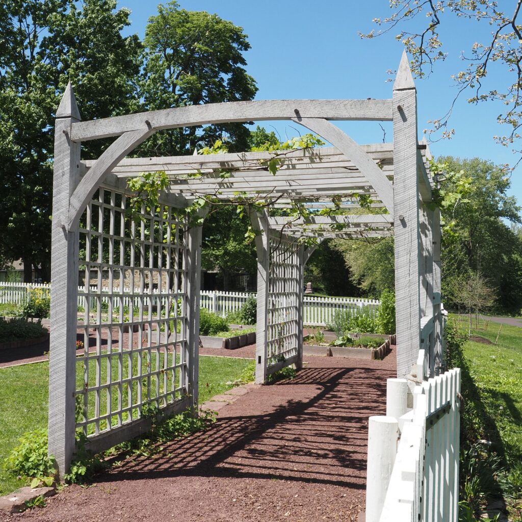 Åpen trepergola med espalier og klatreplanter i en grønn hage