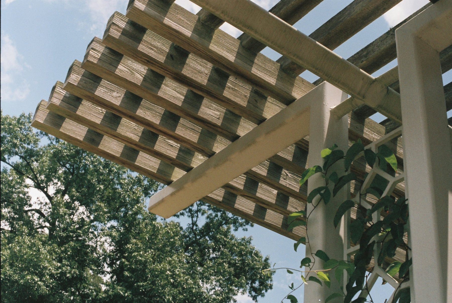 Åpen trepergola bygget inntil en bolig ved et basseng