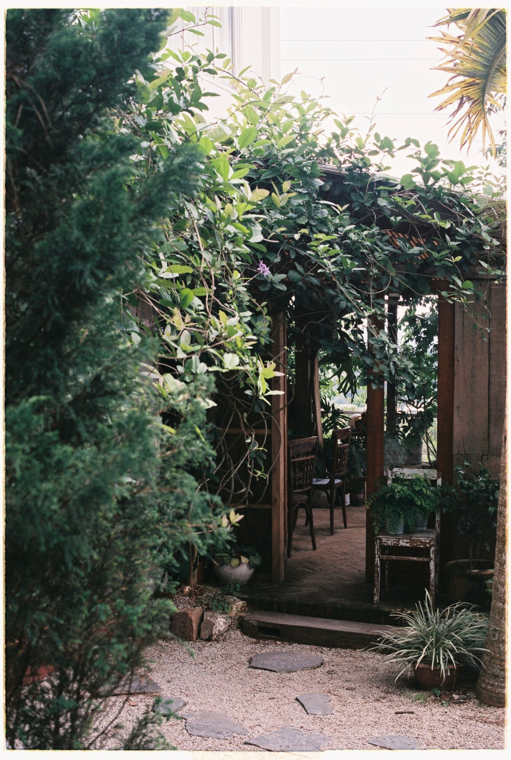 Overgrodd trepergola ved en lun hageterrasse