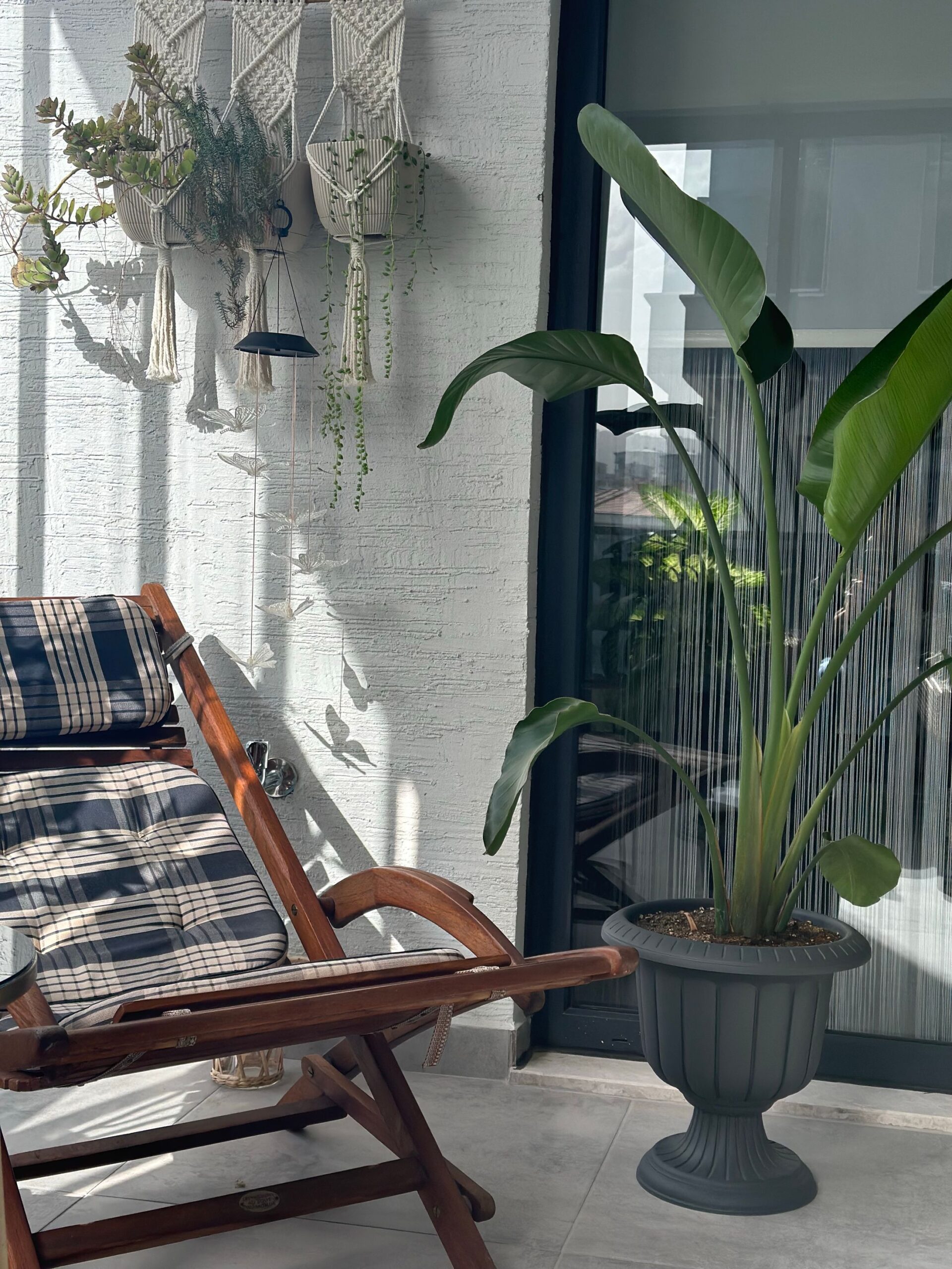 Trestol med pute ved store og hengende grønne planter på en lys terrasse