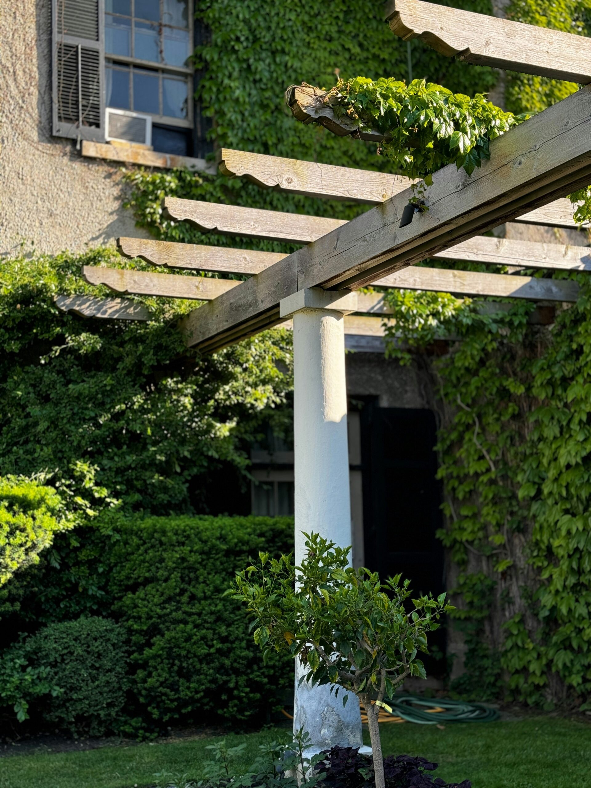 Trepergola foran en grønn fasade med høye vinduer