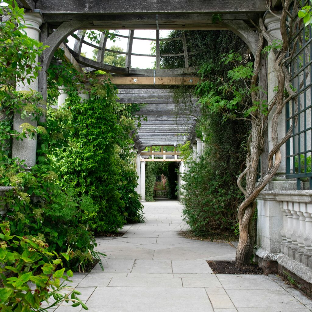 Steinlagt gang under en pergola med klatreplanter